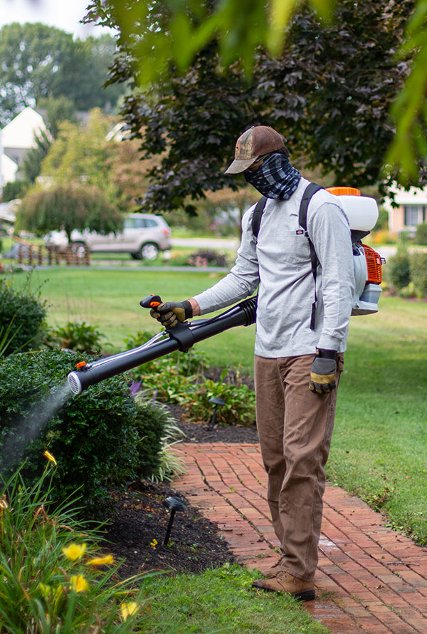 Outside on sale mosquito control