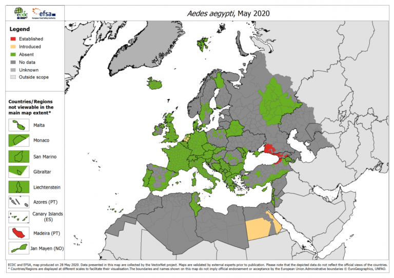 Map from Mosquito Alert Yellow Fever Mosquito Map